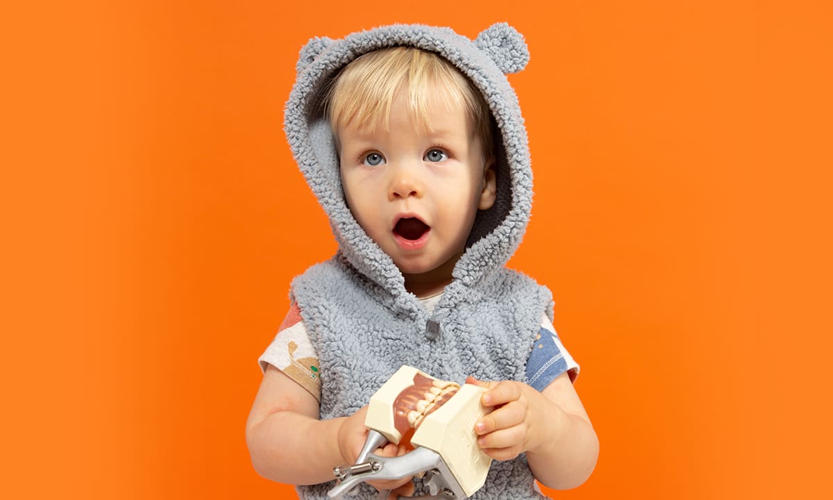 kids-land-galery_01